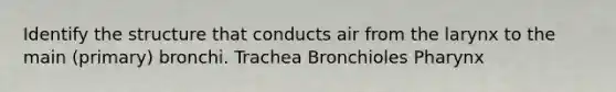 Identify the structure that conducts air from the larynx to the main (primary) bronchi. Trachea Bronchioles Pharynx