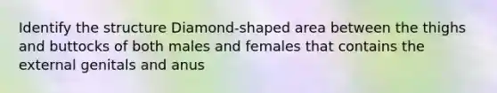 Identify the structure Diamond-shaped area between the thighs and buttocks of both males and females that contains the external genitals and anus