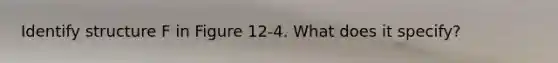 Identify structure F in Figure 12-4. What does it specify?