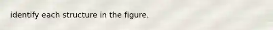 identify each structure in the figure.