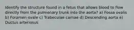 Identify the structure found in a fetus that allows blood to flow directly from the pulmonary trunk into the aorta? a) Fossa ovalis b) Foramen ovale c) Trabeculae carnae d) Descending aorta e) Ductus arteriosus