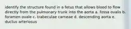 identify the structure found in a fetus that allows blood to flow directly from the pulmonary trunk into the aorta a. fossa ovalis b. foramen ovale c. trabeculae carneae d. descending aorta e. ductus arteriosus