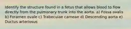 Identify the structure found in a fetus that allows blood to flow directly from the pulmonary trunk into the aorta. a) Fossa ovalis b) Foramen ovale c) Trabeculae carneae d) Descending aorta e) Ductus arteriosus