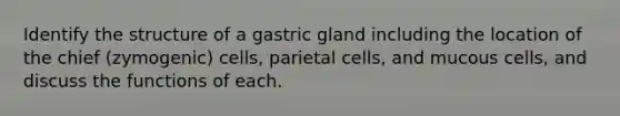 Identify the structure of a gastric gland including the location of the chief (zymogenic) cells, parietal cells, and mucous cells, and discuss the functions of each.