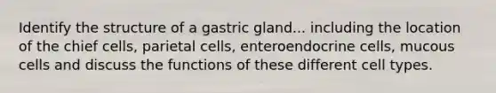 Identify the structure of a gastric gland... including the location of the chief cells, parietal cells, enteroendocrine cells, mucous cells and discuss the functions of these different cell types.