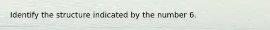 Identify the structure indicated by the number 6.