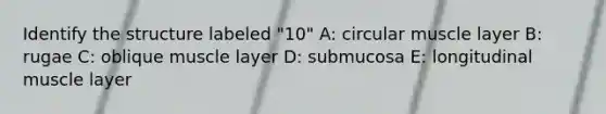 Identify the structure labeled "10" A: circular muscle layer B: rugae C: oblique muscle layer D: submucosa E: longitudinal muscle layer
