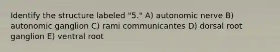Identify the structure labeled "5." A) autonomic nerve B) autonomic ganglion C) rami communicantes D) dorsal root ganglion E) ventral root