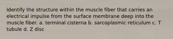 Identify the structure within the muscle fiber that carries an electrical impulse from the surface membrane deep into the muscle fiber. a. terminal cisterna b. sarcoplasmic reticulum c. T tubule d. Z disc