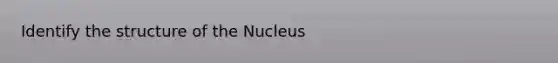 Identify the structure of the Nucleus