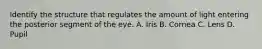 Identify the structure that regulates the amount of light entering the posterior segment of the eye. A. Iris B. Cornea C. Lens D. Pupil