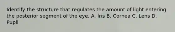 Identify the structure that regulates the amount of light entering the posterior segment of the eye. A. Iris B. Cornea C. Lens D. Pupil