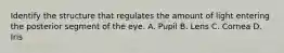 Identify the structure that regulates the amount of light entering the posterior segment of the eye. A. Pupil B. Lens C. Cornea D. Iris