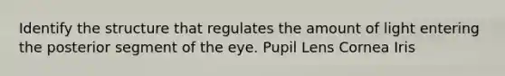 Identify the structure that regulates the amount of light entering the posterior segment of the eye. Pupil Lens Cornea Iris