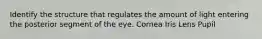 Identify the structure that regulates the amount of light entering the posterior segment of the eye. Cornea Iris Lens Pupil