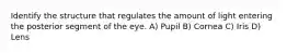 Identify the structure that regulates the amount of light entering the posterior segment of the eye. A) Pupil B) Cornea C) Iris D) Lens
