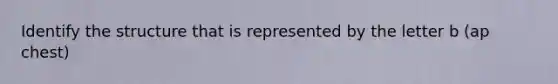 Identify the structure that is represented by the letter b (ap chest)