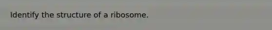 Identify the structure of a ribosome.