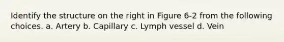 Identify the structure on the right in Figure 6-2 from the following choices. a. Artery b. Capillary c. Lymph vessel d. Vein