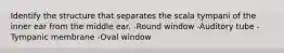 Identify the structure that separates the scala tympani of the inner ear from the middle ear. -Round window -Auditory tube -Tympanic membrane -Oval window