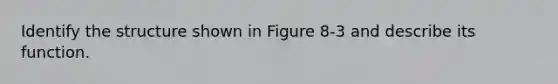 Identify the structure shown in Figure 8-3 and describe its function.