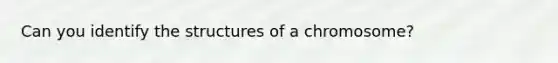 Can you identify the structures of a chromosome?