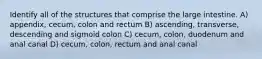 Identify all of the structures that comprise the large intestine. A) appendix, cecum, colon and rectum B) ascending, transverse, descending and sigmoid colon C) cecum, colon, duodenum and anal canal D) cecum, colon, rectum and anal canal