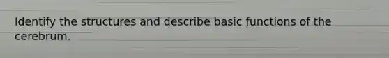Identify the structures and describe basic functions of the cerebrum.