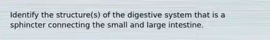 Identify the structure(s) of the digestive system that is a sphincter connecting the small and large intestine.