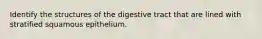 Identify the structures of the digestive tract that are lined with stratified squamous epithelium.