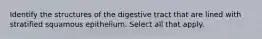 Identify the structures of the digestive tract that are lined with stratified squamous epithelium. Select all that apply.