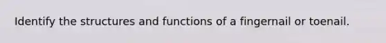 Identify the structures and functions of a fingernail or toenail.