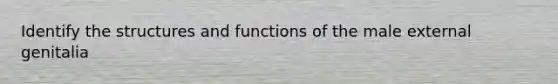 Identify the structures and functions of the male external genitalia