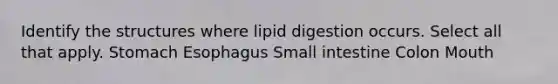 Identify the structures where lipid digestion occurs. Select all that apply. Stomach Esophagus Small intestine Colon Mouth