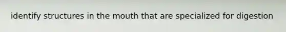 identify structures in the mouth that are specialized for digestion