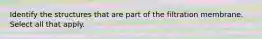 Identify the structures that are part of the filtration membrane. Select all that apply.
