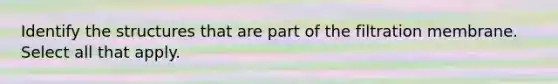 Identify the structures that are part of the filtration membrane. Select all that apply.