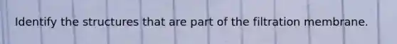 Identify the structures that are part of the filtration membrane.