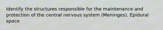 Identify the structures responsible for the maintenance and protection of the central nervous system (Meninges). Epidural space