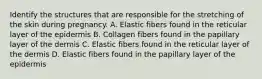 Identify the structures that are responsible for the stretching of the skin during pregnancy. A. Elastic fibers found in the reticular layer of the epidermis B. Collagen fibers found in the papillary layer of the dermis C. Elastic fibers found in the reticular layer of the dermis D. Elastic fibers found in the papillary layer of the epidermis