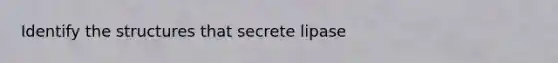 Identify the structures that secrete lipase