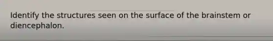 Identify the structures seen on the surface of the brainstem or diencephalon.