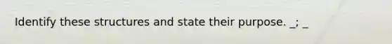 Identify these structures and state their purpose. _; _