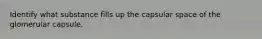 Identify what substance fills up the capsular space of the glomerular capsule.