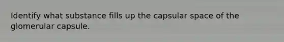 Identify what substance fills up the capsular space of the glomerular capsule.