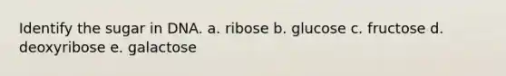 Identify the sugar in DNA. a. ribose b. glucose c. fructose d. deoxyribose e. galactose