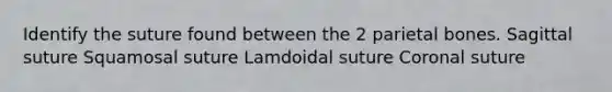 Identify the suture found between the 2 parietal bones. Sagittal suture Squamosal suture Lamdoidal suture Coronal suture