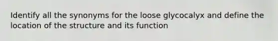 Identify all the synonyms for the loose glycocalyx and define the location of the structure and its function