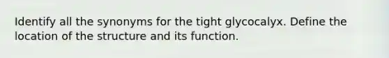 Identify all the synonyms for the tight glycocalyx. Define the location of the structure and its function.