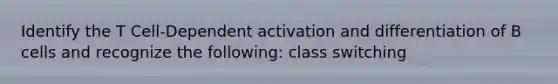 Identify the T Cell-Dependent activation and differentiation of B cells and recognize the following: class switching